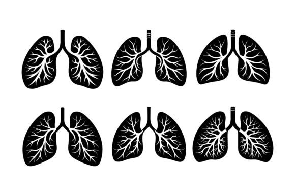 Human Lungs Silhouette Vector Design: A Versatile Asset for Creative Projects