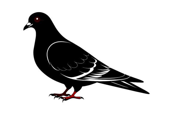 Pigeon Silhouette Vector Design: A Practical Guide for Digital Creators